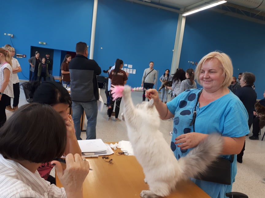 wystawa Ostrava 13 10 2019 2