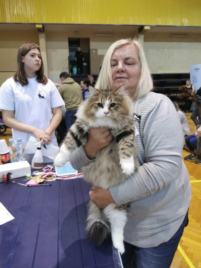 Orion wystawa Bielsko B 1